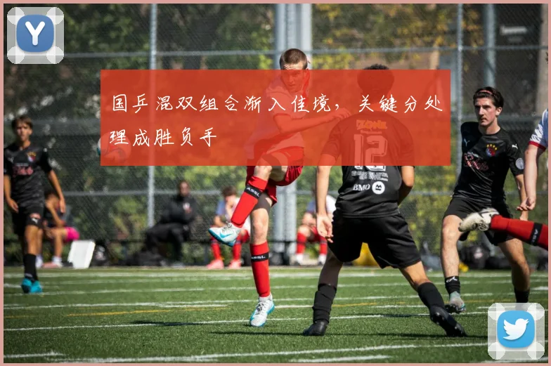 国乒混双组合渐入佳境，关键分处理成胜负手 - 看球通