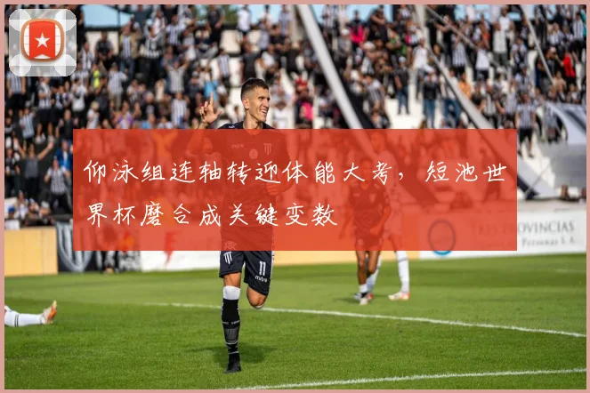 仰泳组连轴转迎体能大考,短池世界杯磨合成关键变数