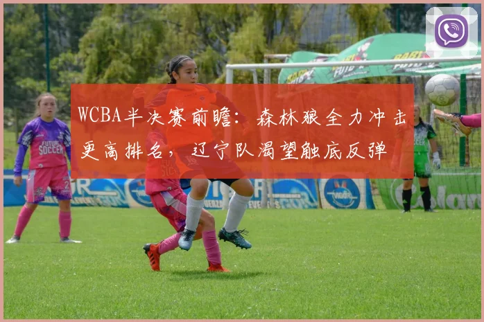 WCBA半决赛前瞻：森林狼全力冲击更高排名，辽宁队渴望触底反弹
