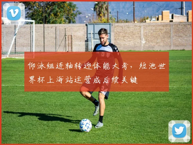 仰泳组连轴转迎体能大考,短池世界杯上海站运营成后续关键