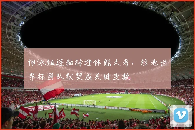 仰泳组连轴转迎体能大考,短池世界杯团队默契成关键变数