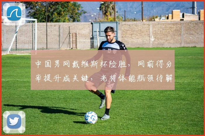 中国男网戴维斯杯险胜,网前得分率提升成关键,老将体能瓶颈待解
